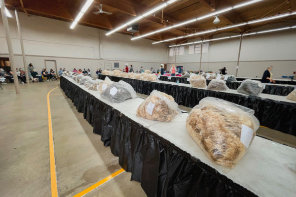 Lower Mainland Sheep Producers Association fleece auction